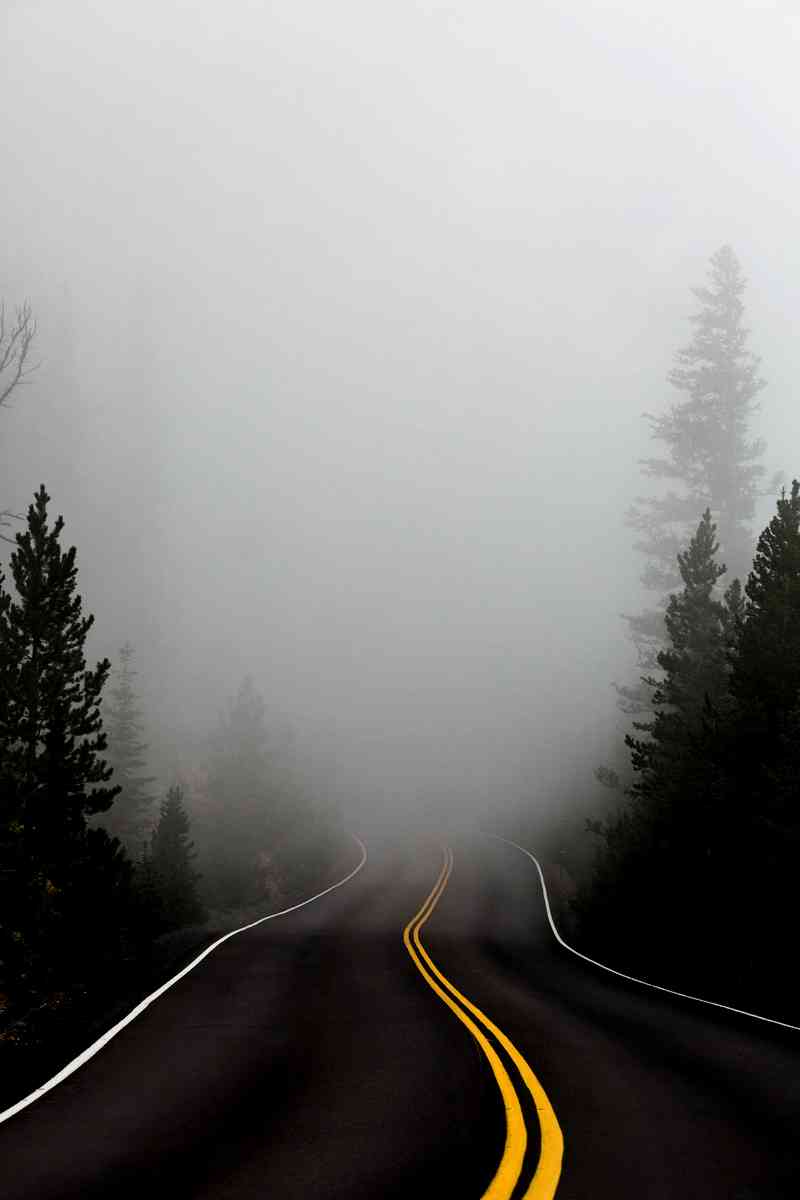 Cosa Significa Sognare La Madonna Cosa significa sognare la nebbia | In Vita Veritas - Significato sogno